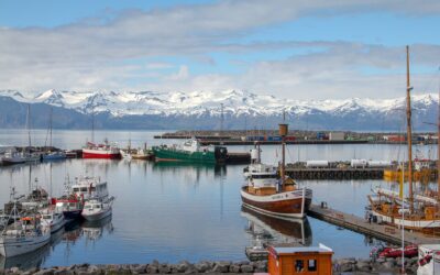 Improving wellbeing during Covid lockdown in Iceland